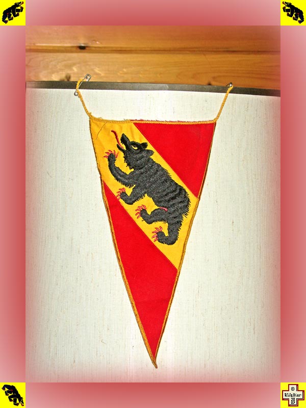 Photo: Bern Bear on embroidered pennant.