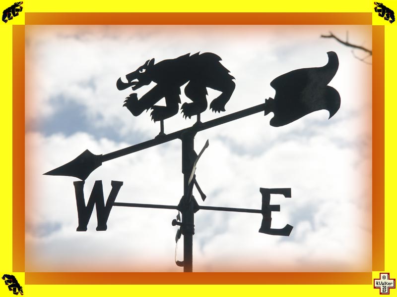 Photo: Bern Bear weathervane.